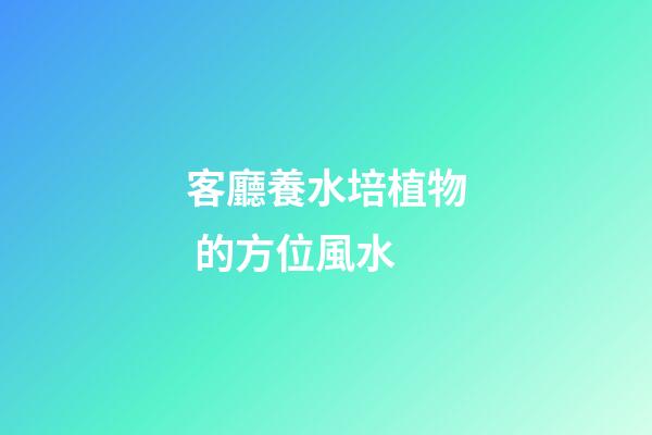 客廳養水培植物 的方位風水